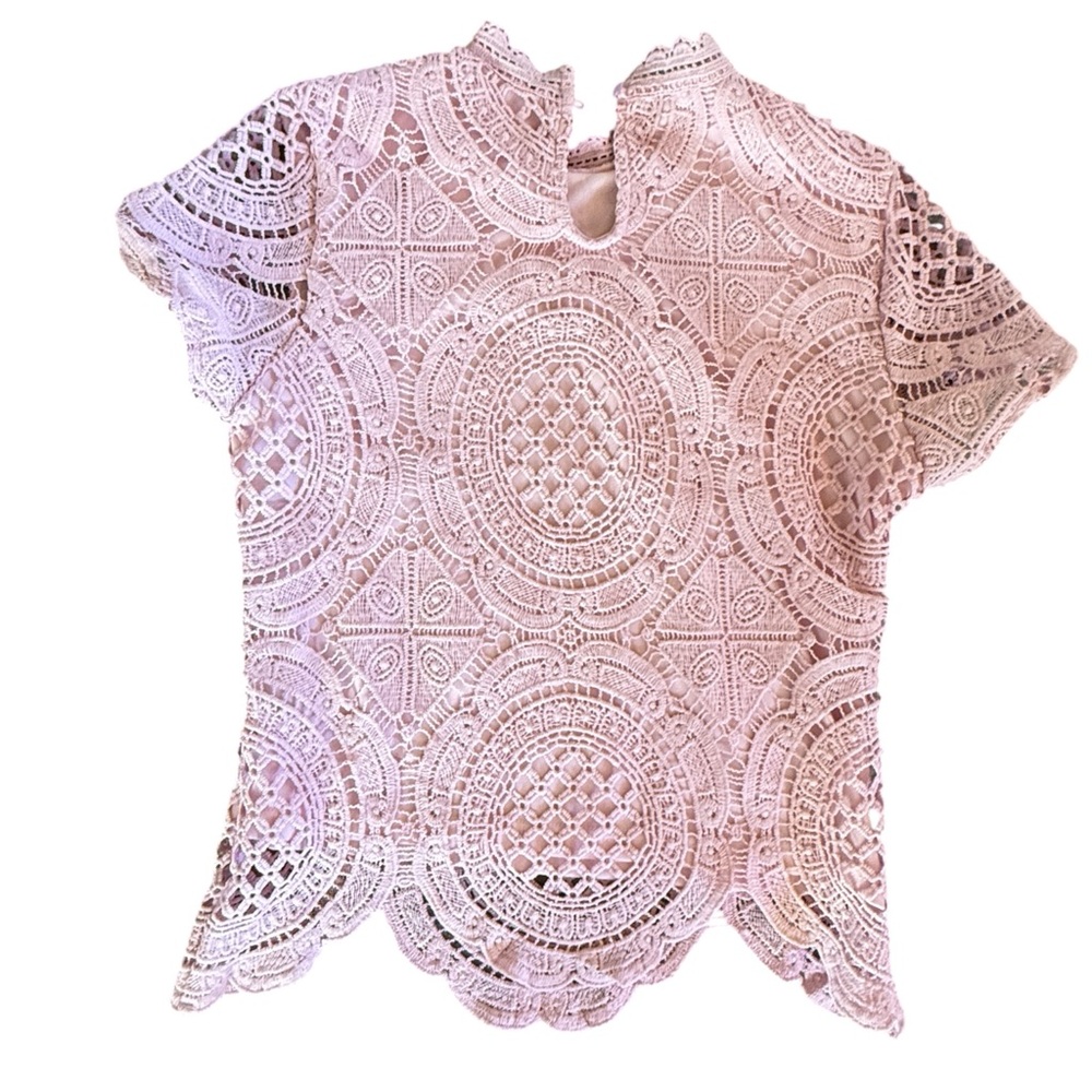 Ultra Pink Dusty Rose Lace High Neck Short Sleeve Top - Picture 2 of 6